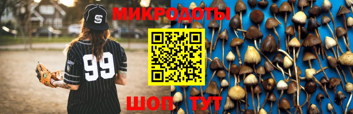 что такое   Вход с VPN  Кирово-Чепецк  Галлюциногенные грибы Psilocybine cubensis 
